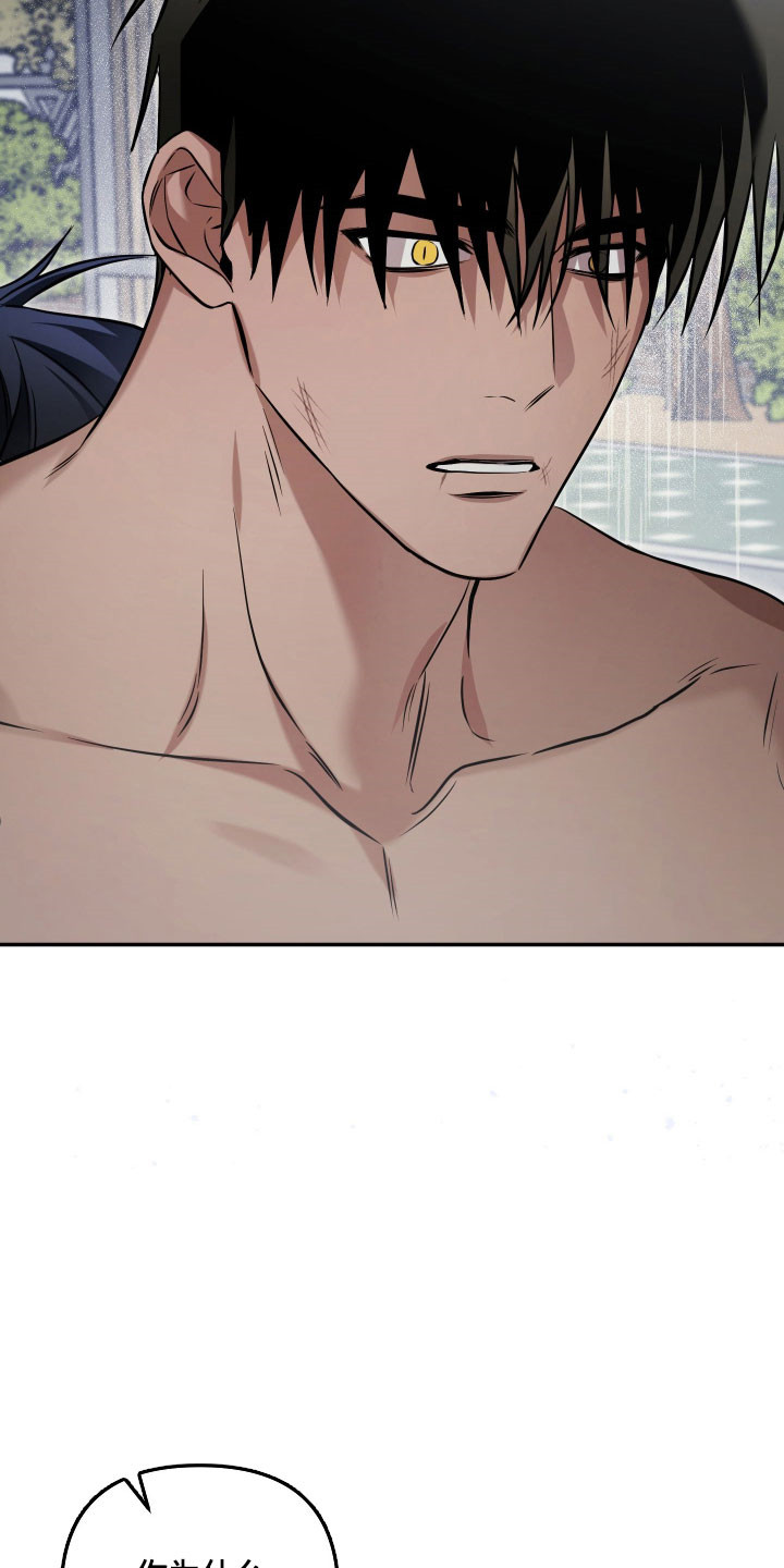 绝对复仇宣言漫画,第46章：准备开始（第一季完结）3图