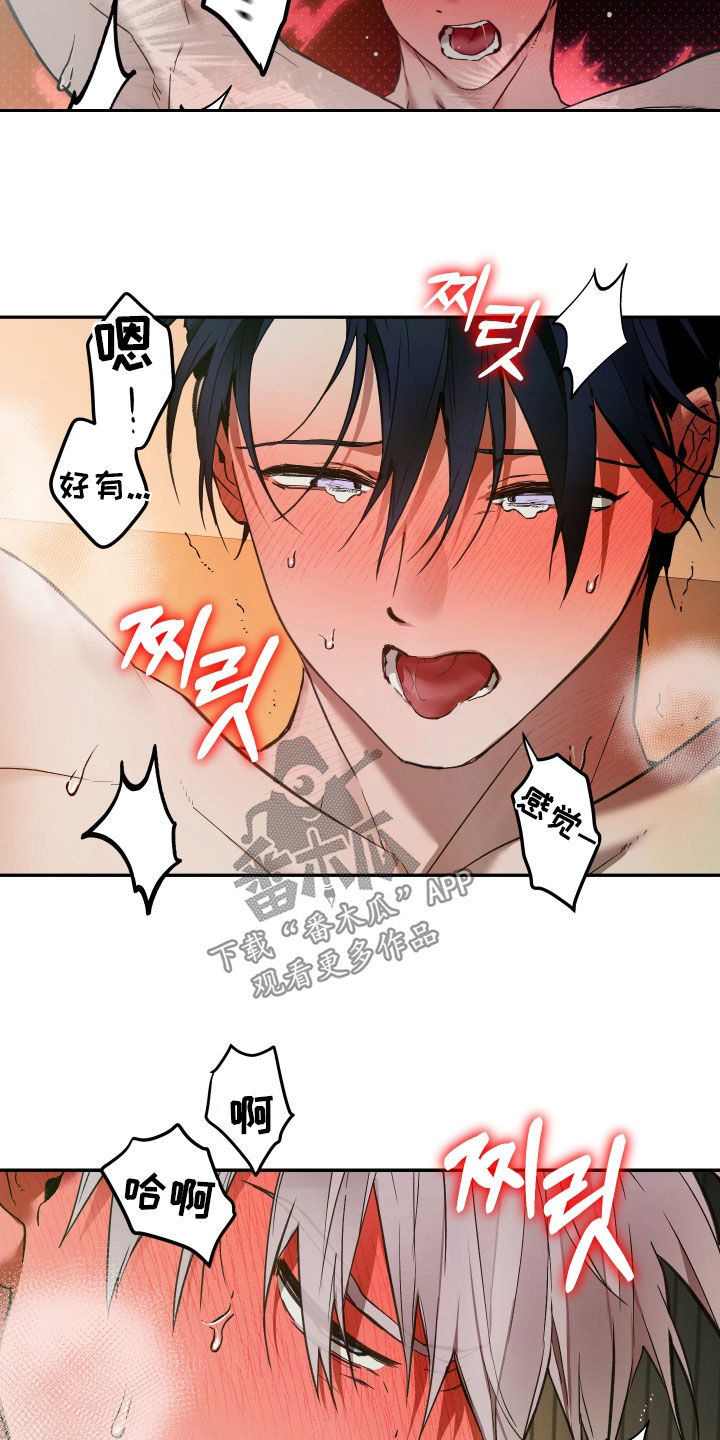 我的小笨熊漫画,第105章：【第二季】我也爱你2图