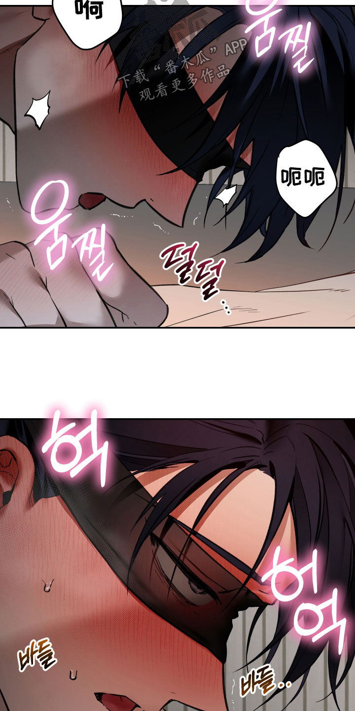 我的小笨熊漫画,第105章：【第二季】我也爱你1图