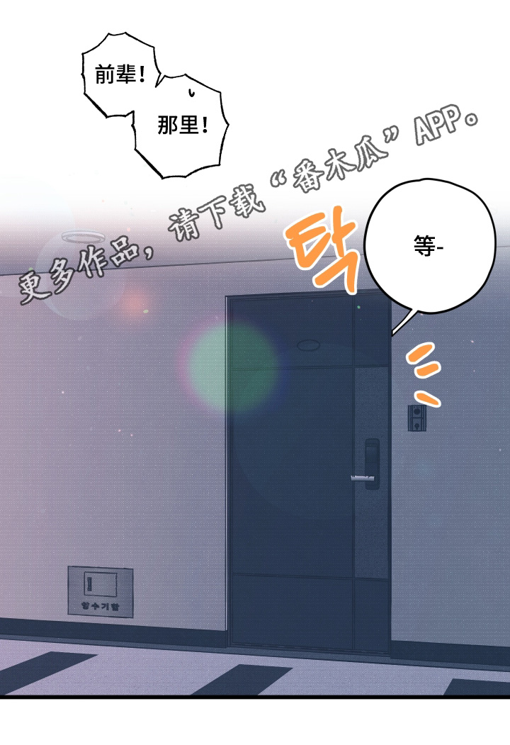 第41章：不需要4