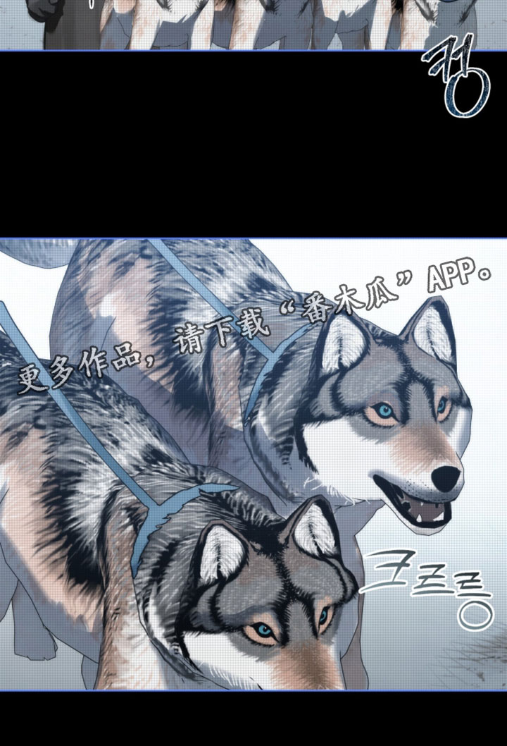 温柔牢笼小说免费看漫画,第56章：狩猎2图