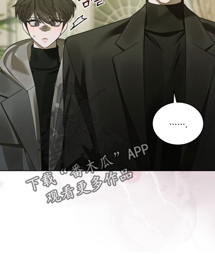 温柔牢笼少爷最终结局漫画,第61章：自由的鸟5图