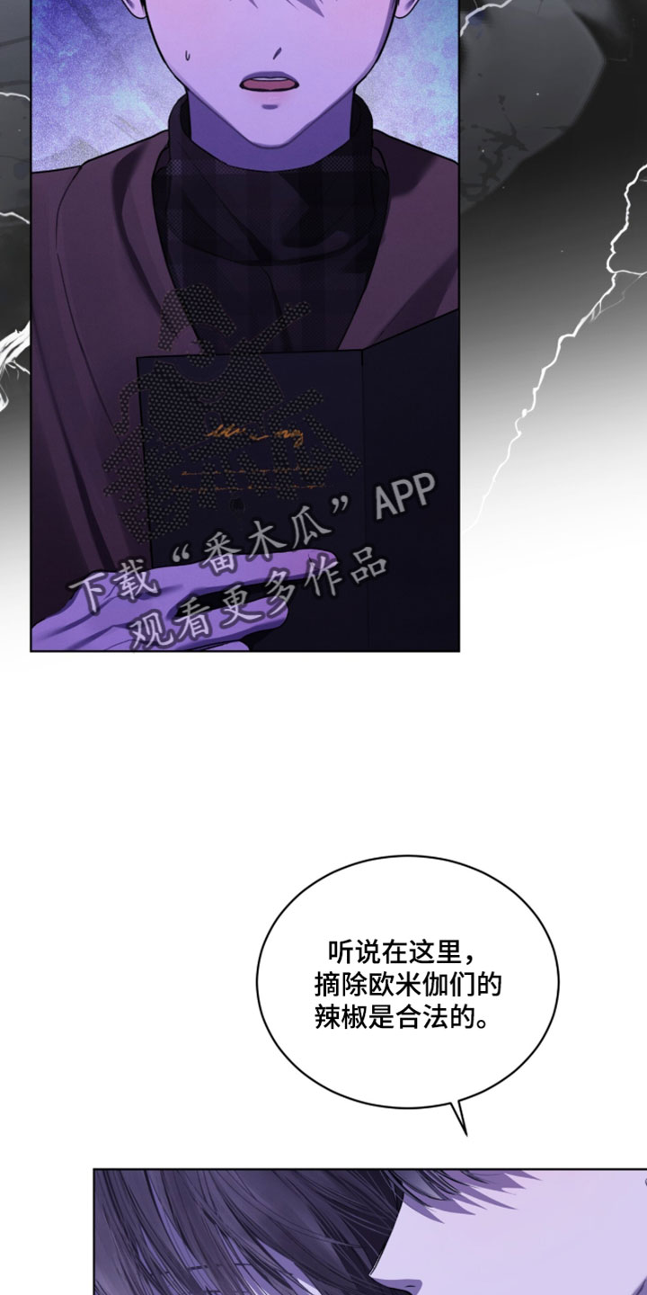 温柔牢笼漫画免费看漫画,第56章：狩猎4图