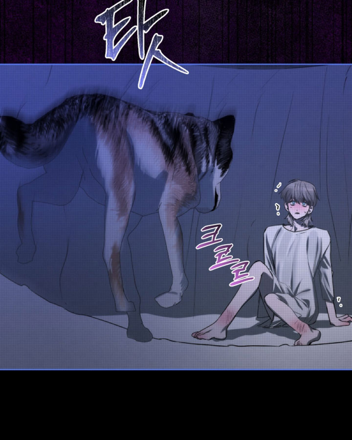 温柔牢笼漫画,第57章：逃跑1图