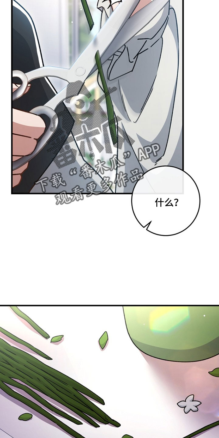 错驾良缘漫画,第51章：【番外】抛弃2图