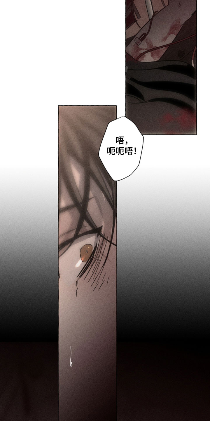 血族囚笼弟弟漫画,第135章：我们会怎么样2图