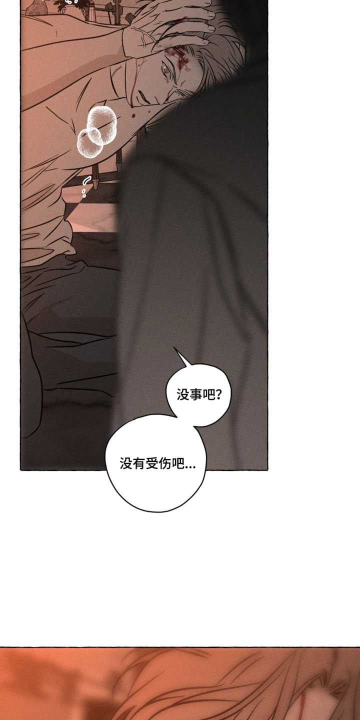 血族囚笼未婚妻经典情节漫画,第138章：偷袭1图