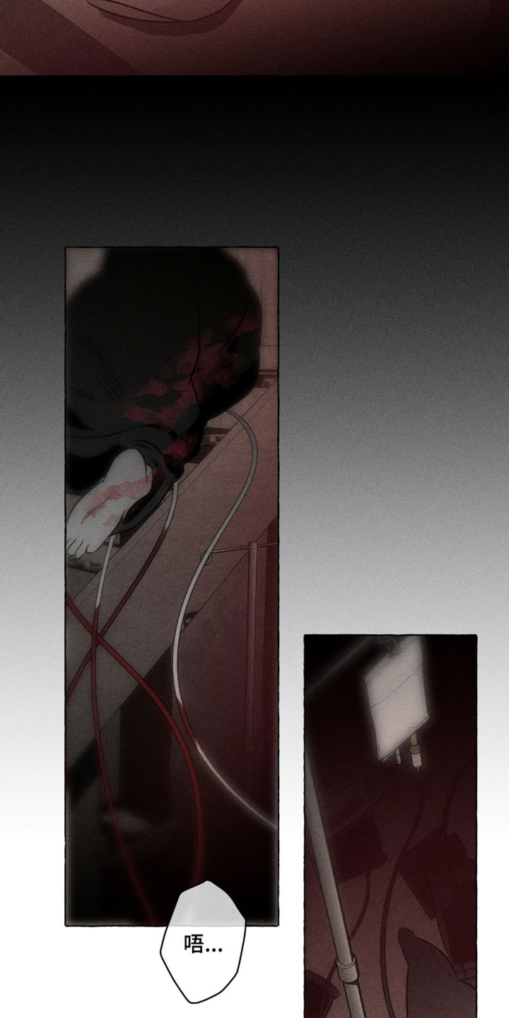 血族囚笼弟弟漫画,第135章：我们会怎么样1图