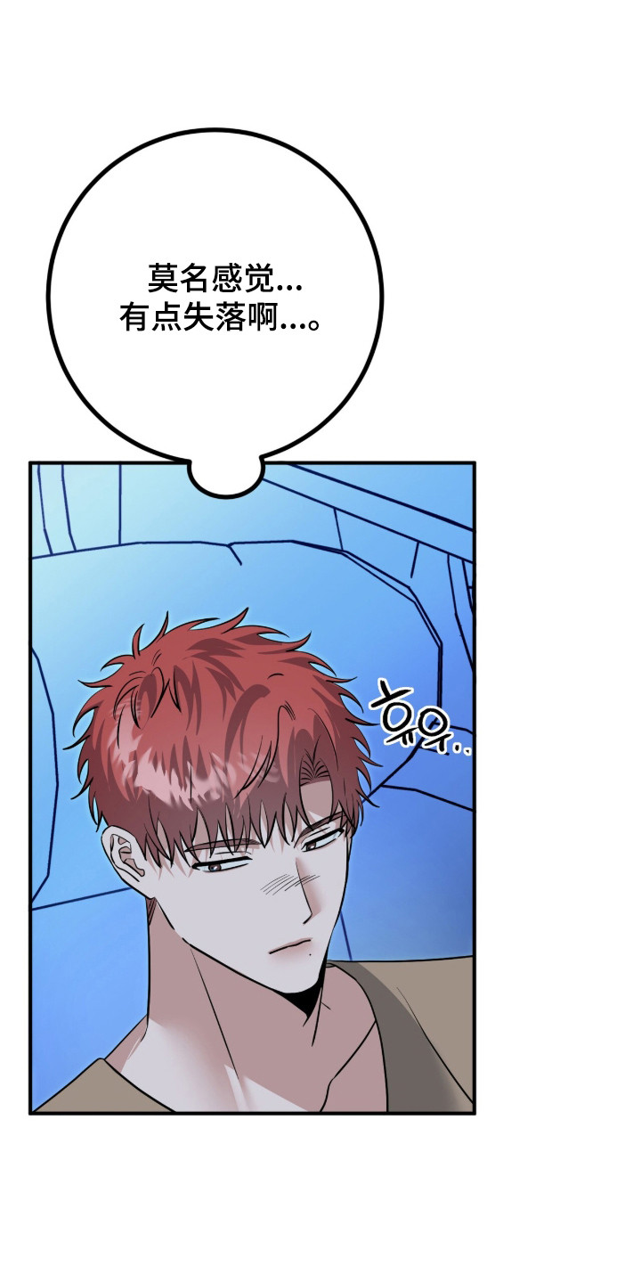 摘下星星送给你漫画,第110章：应援评论5图