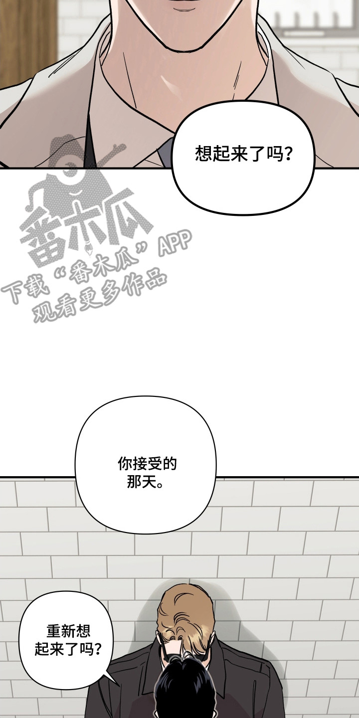 暗金腰带升级公式漫画,第49章：饭搭子2图