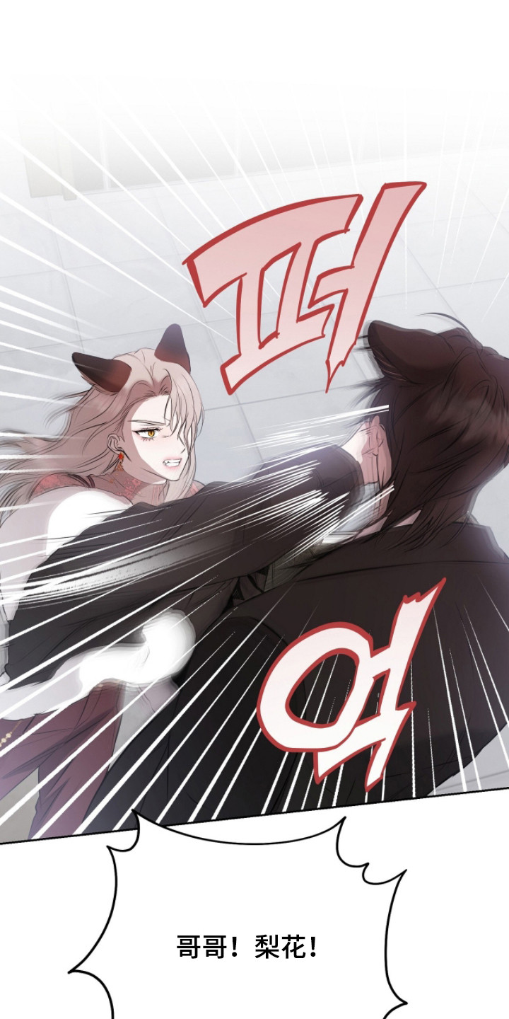 囚狐之笼漫画,第44章：遭遇不幸4图