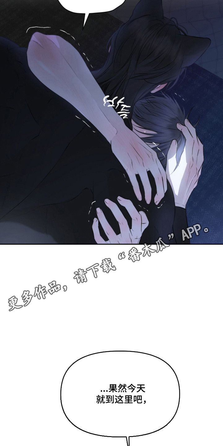 囚狐之笼正版书籍周边漫画,第49章：充满矛盾5图