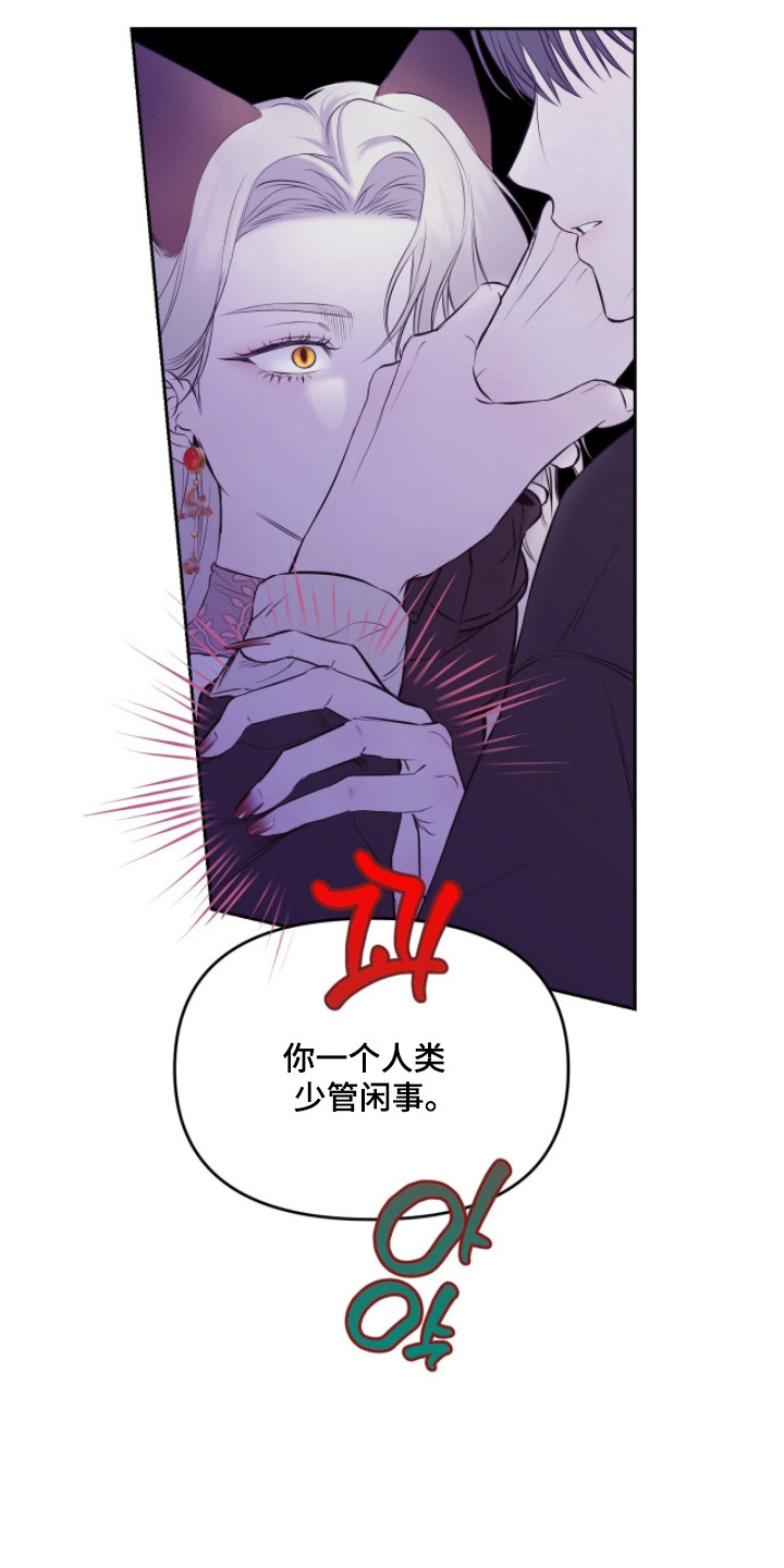 囚狐之笼漫画,第44章：遭遇不幸4图