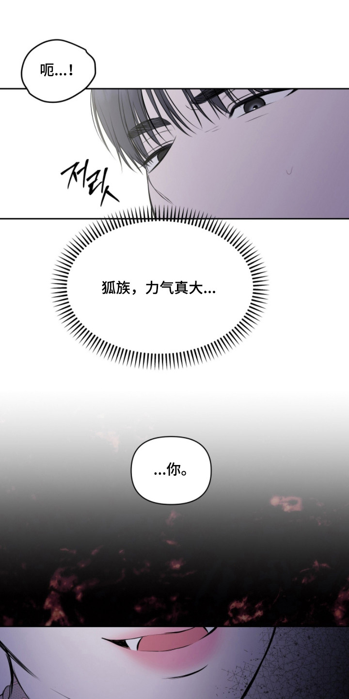 囚狐之笼漫画,第44章：遭遇不幸5图