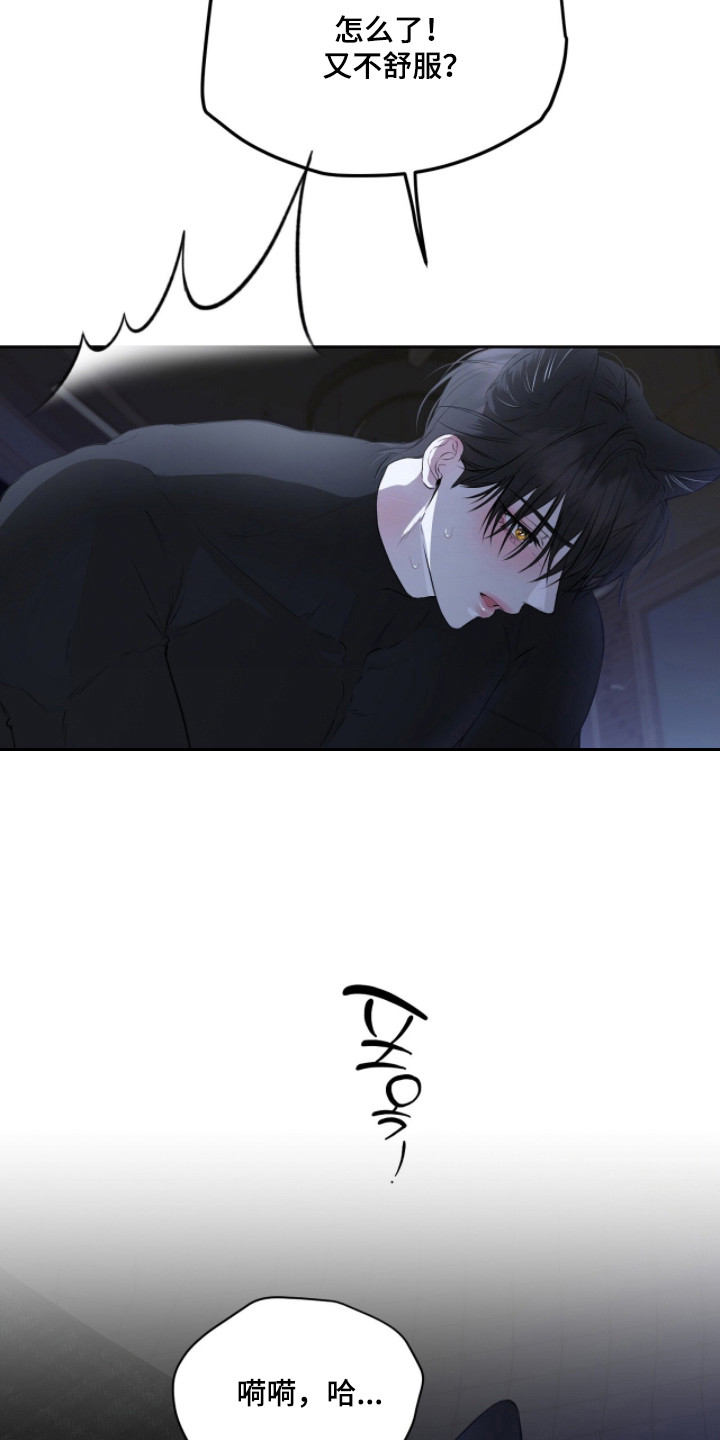 囚狐之笼正版书籍周边漫画,第49章：充满矛盾4图