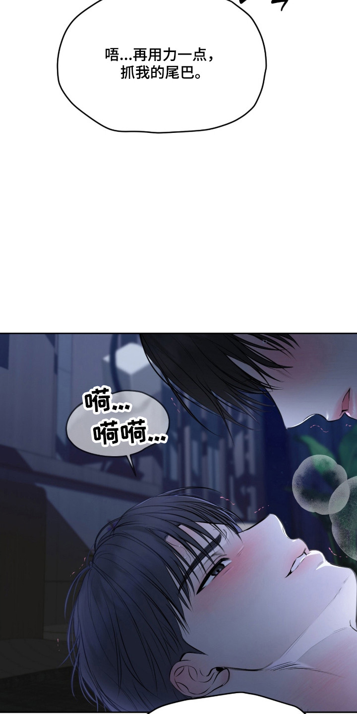 囚狐之笼漫画,第47章：持续疯狂3图
