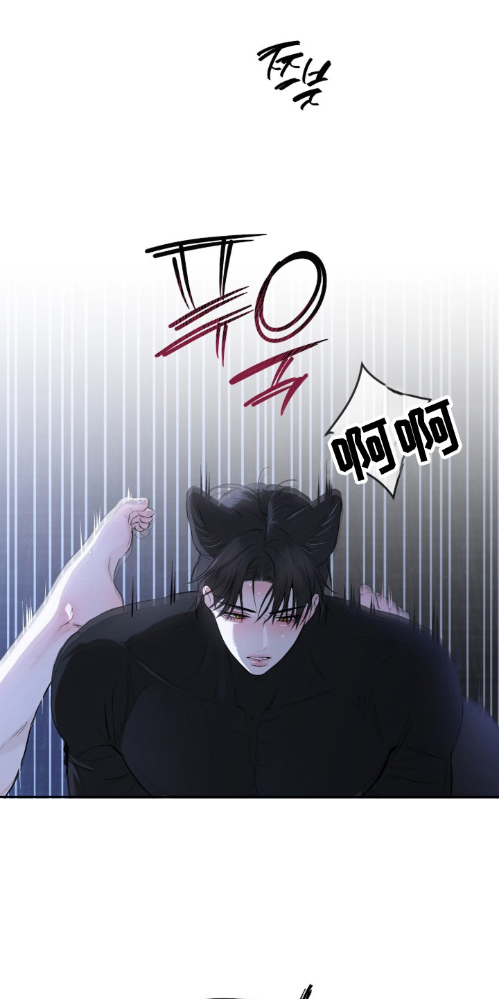 囚狐之笼漫画,第47章：持续疯狂4图