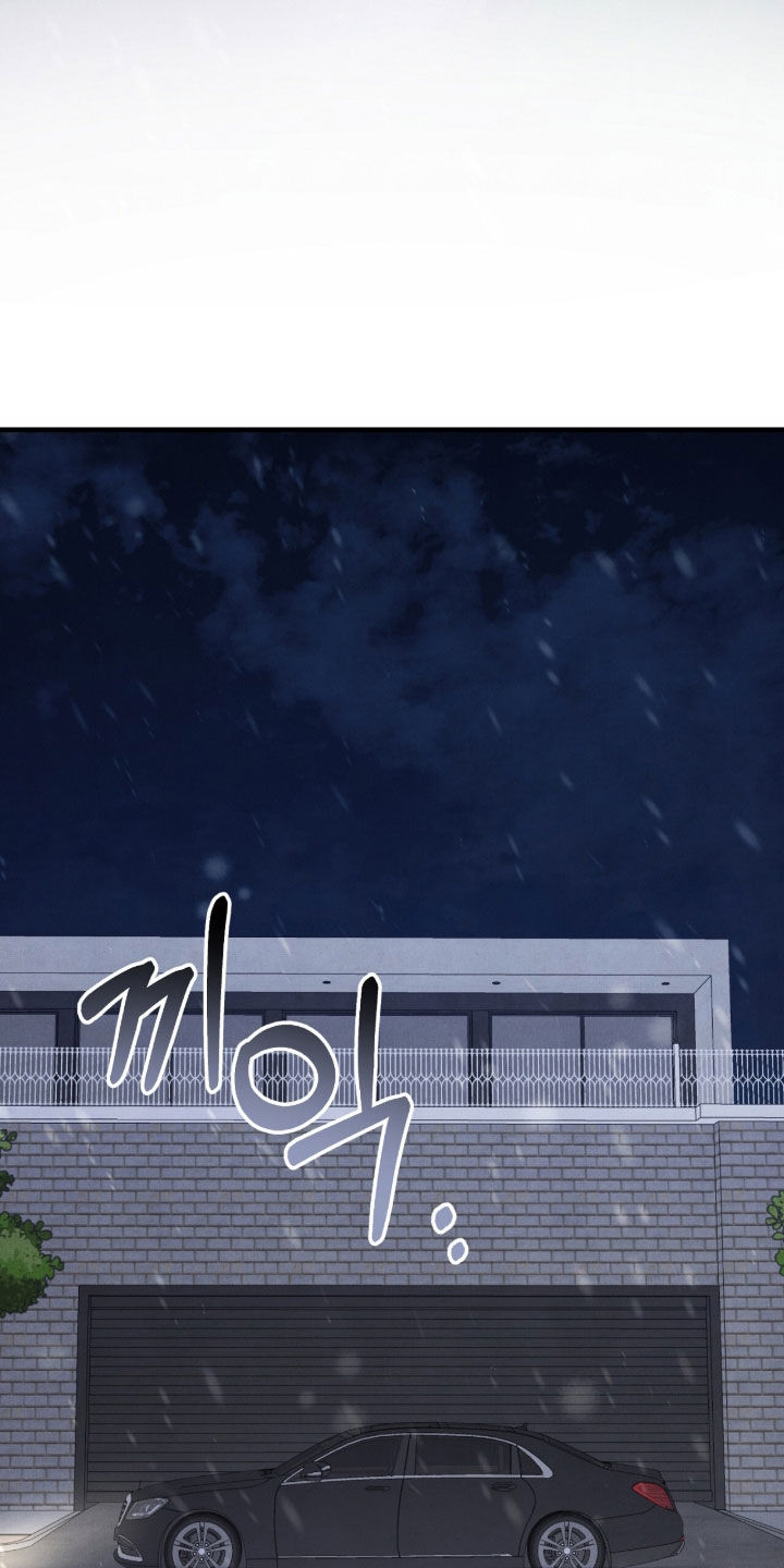 VVIP皮肤能否直接使用漫画,第63章：鸟笼4图