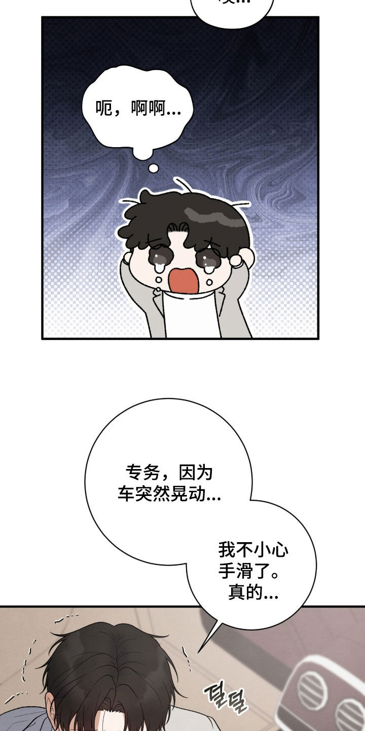 VVIP皮肤能否直接使用漫画,第63章：鸟笼4图