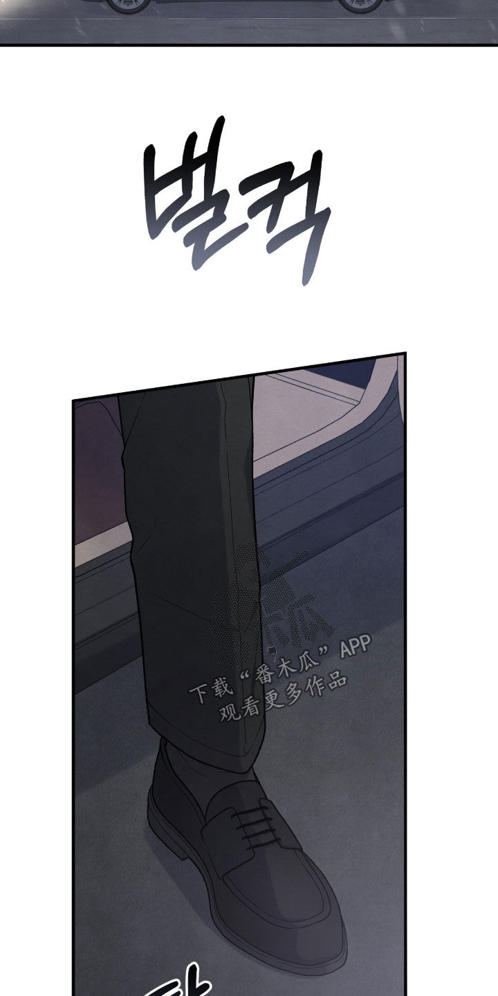 VVIP皮肤能否直接使用漫画,第63章：鸟笼5图