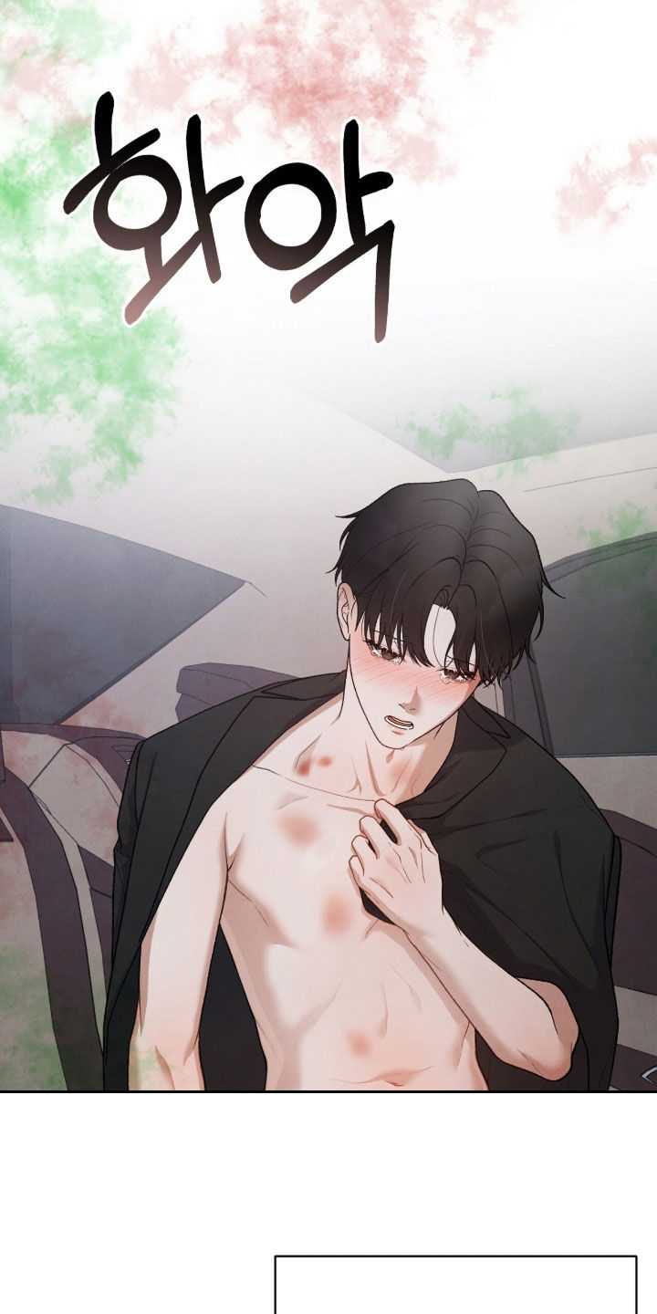 VVIP皮肤能否直接使用漫画,第63章：鸟笼4图