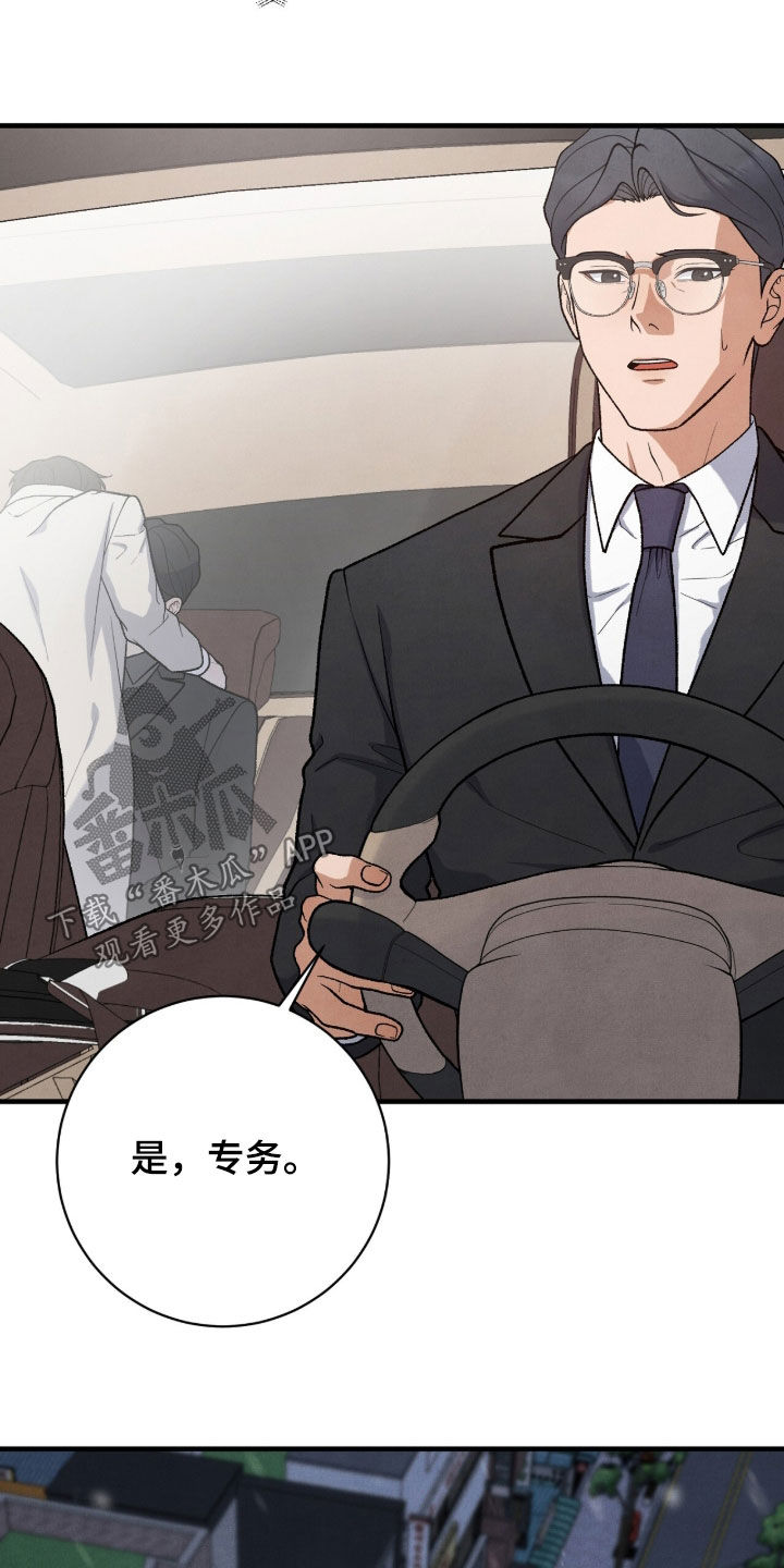 VVIP皮肤能否直接使用漫画,第63章：鸟笼2图