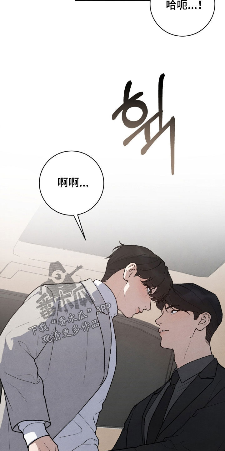 VVIP皮肤能否直接使用漫画,第63章：鸟笼1图