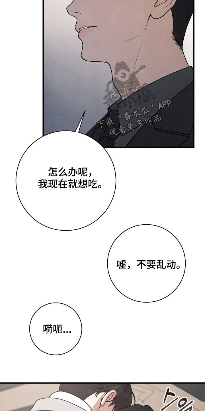 VVIP皮肤能否直接使用漫画,第63章：鸟笼4图