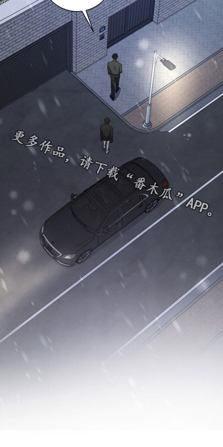 VVIP皮肤能否直接使用漫画,第63章：鸟笼3图