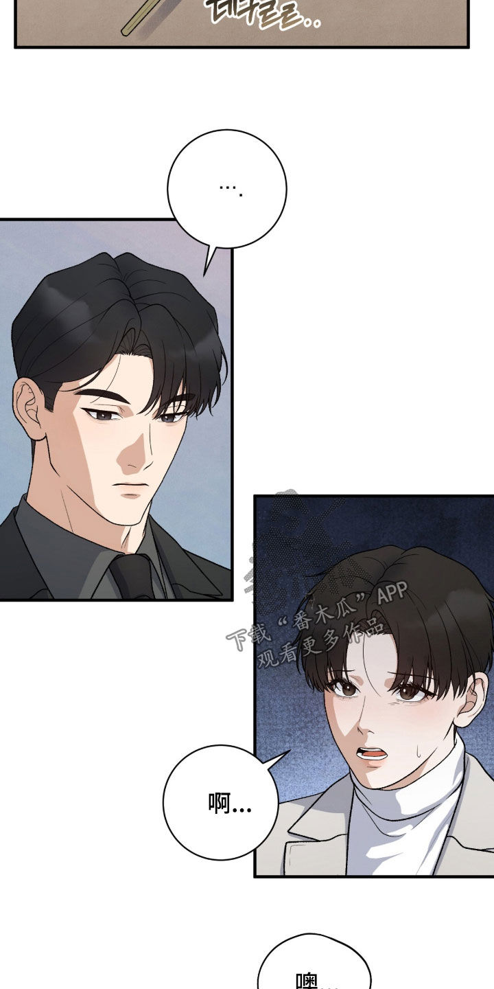 VVIP皮肤能否直接使用漫画,第63章：鸟笼3图