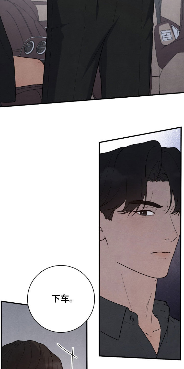 VVIP皮肤能否直接使用漫画,第63章：鸟笼2图