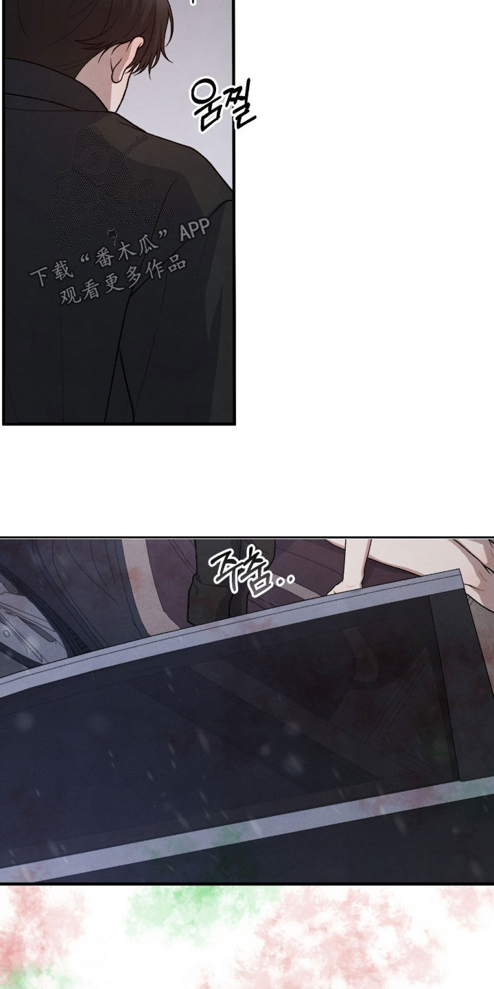 VVIP皮肤能否直接使用漫画,第63章：鸟笼3图