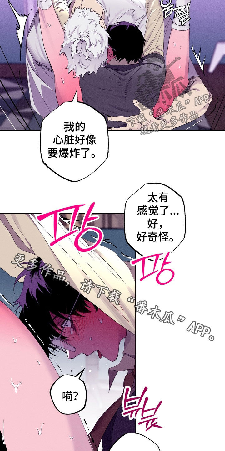 博士的家小游戏漫画,第45章：【第二季】你也喜欢吧4图