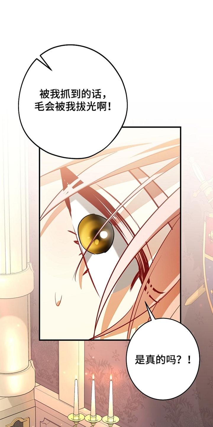 黑豹配偶超棘手漫画,第60章：我们的家人【完结】5图