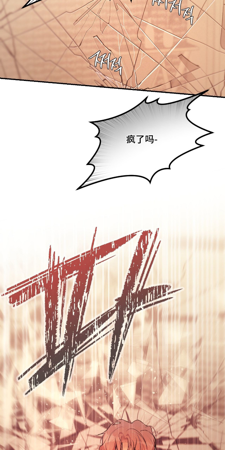 点燃的罪孽漫画,第45章：你疯了5图