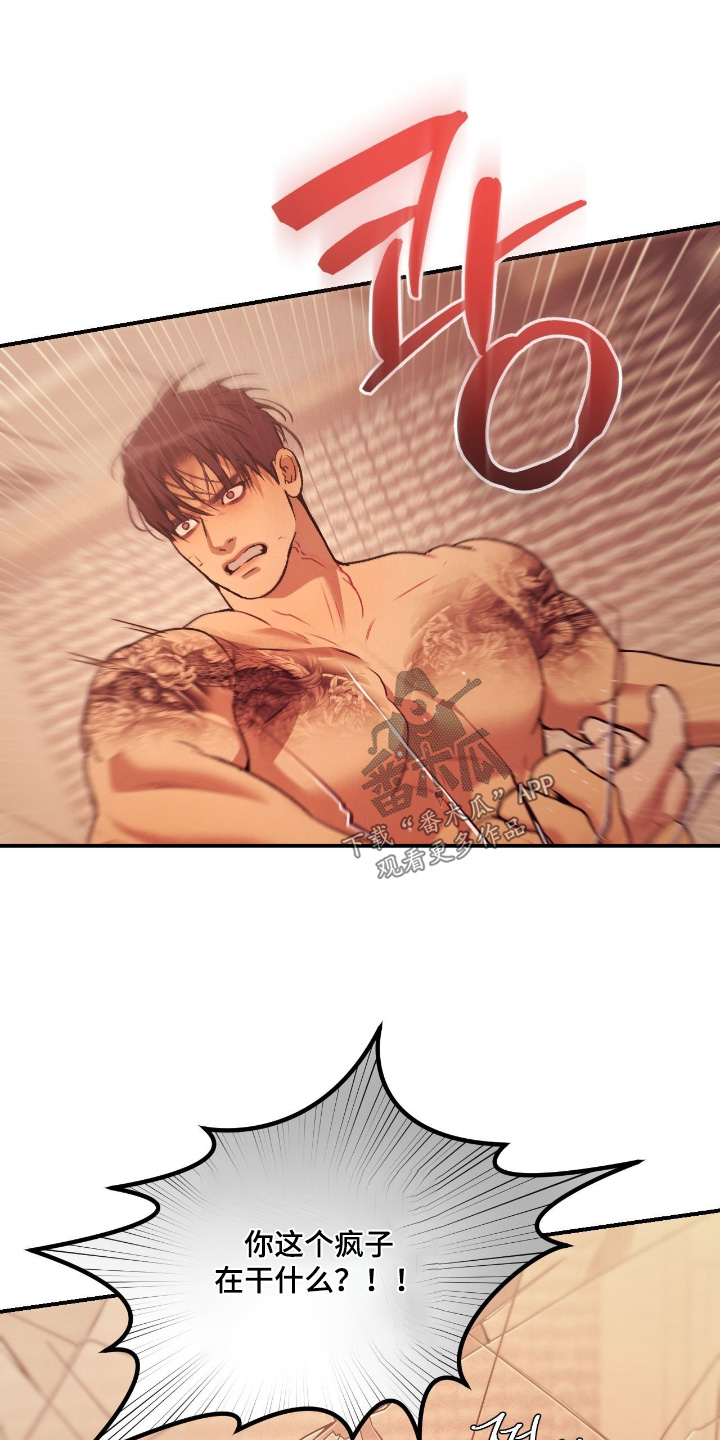 点燃的罪孽漫画,第45章：你疯了4图