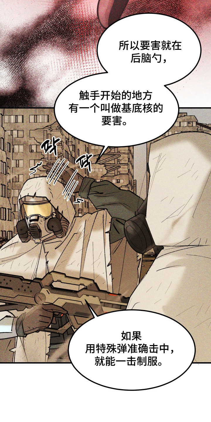 紫罗兰永恒花园备忘录漫画,第39章：真是万幸3图