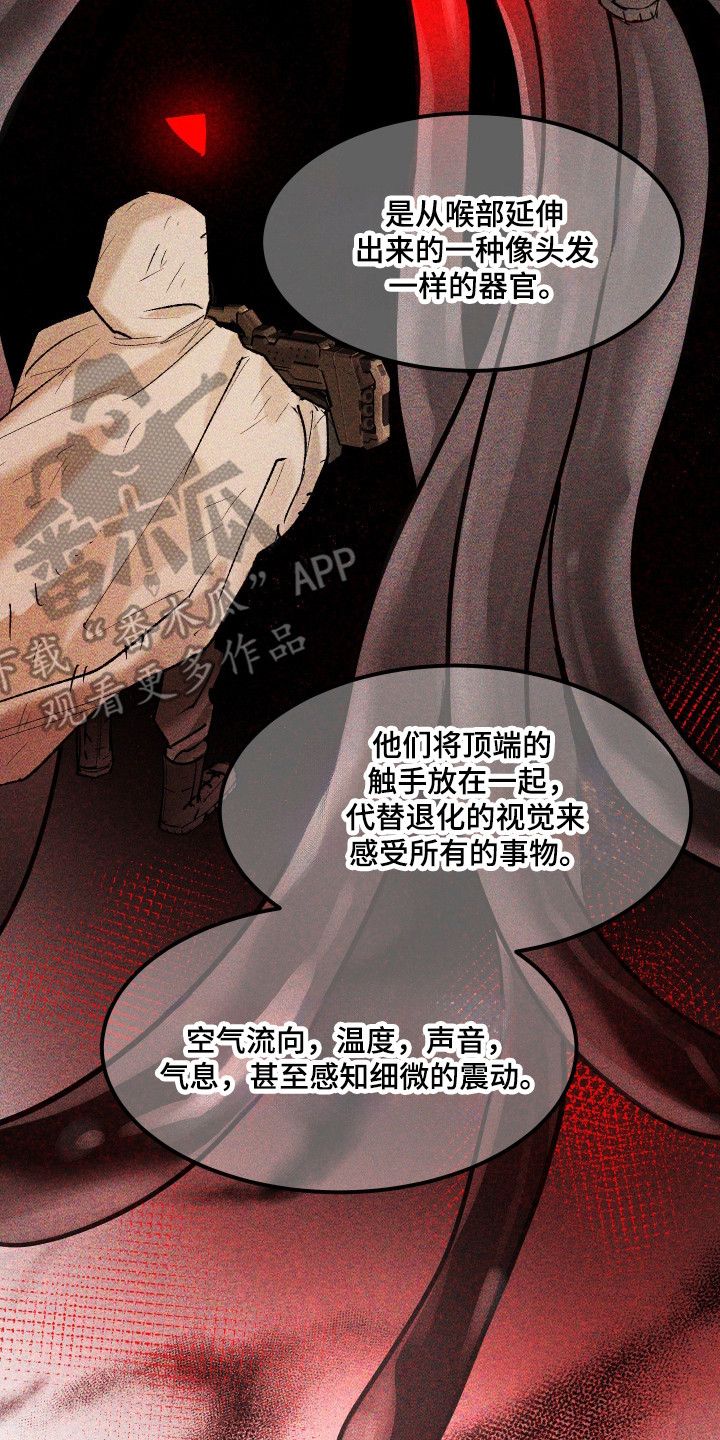 紫罗兰永恒花园备忘录漫画,第39章：真是万幸2图