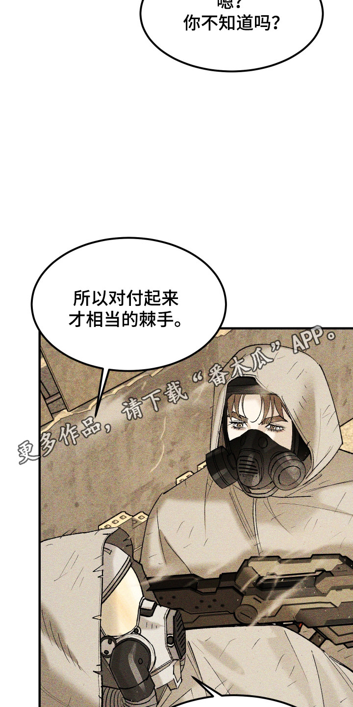 紫罗兰永恒花园备忘录漫画,第39章：真是万幸4图