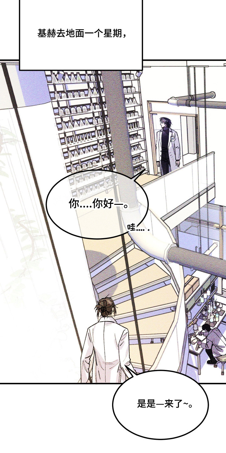 紫罗兰协议漫画,第38章：重返地面4图