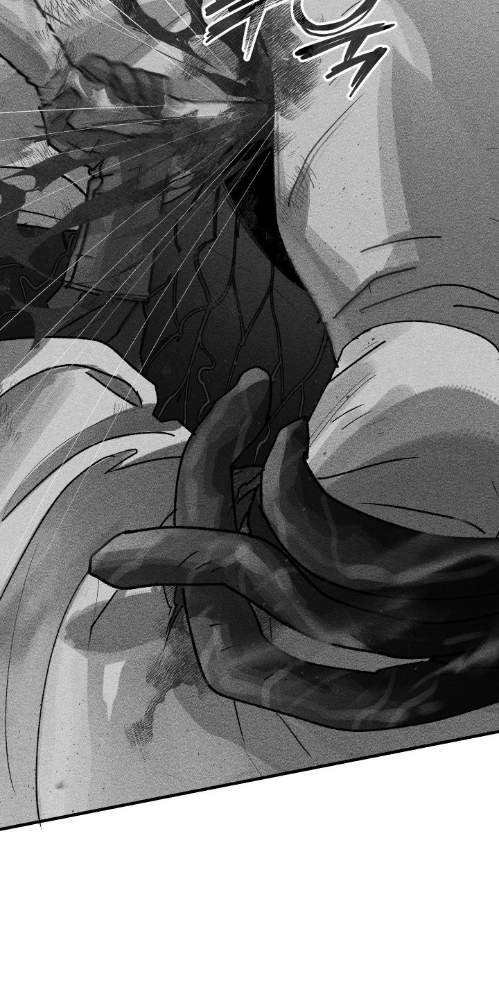 紫罗兰协议漫画,第37章：没有反应3图