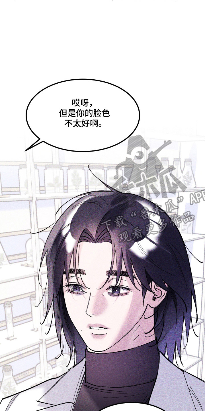 紫罗兰协议漫画,第38章：重返地面1图