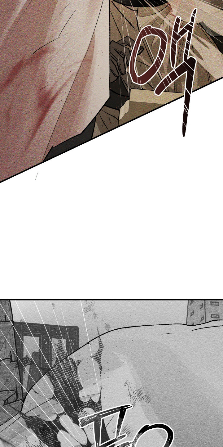 紫罗兰协议漫画,第37章：没有反应2图