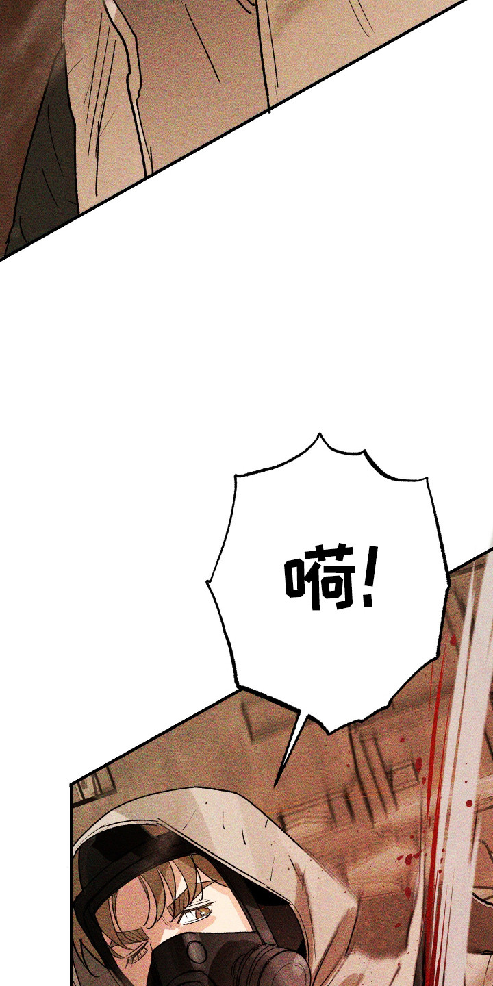 紫罗兰协议漫画,第37章：没有反应1图