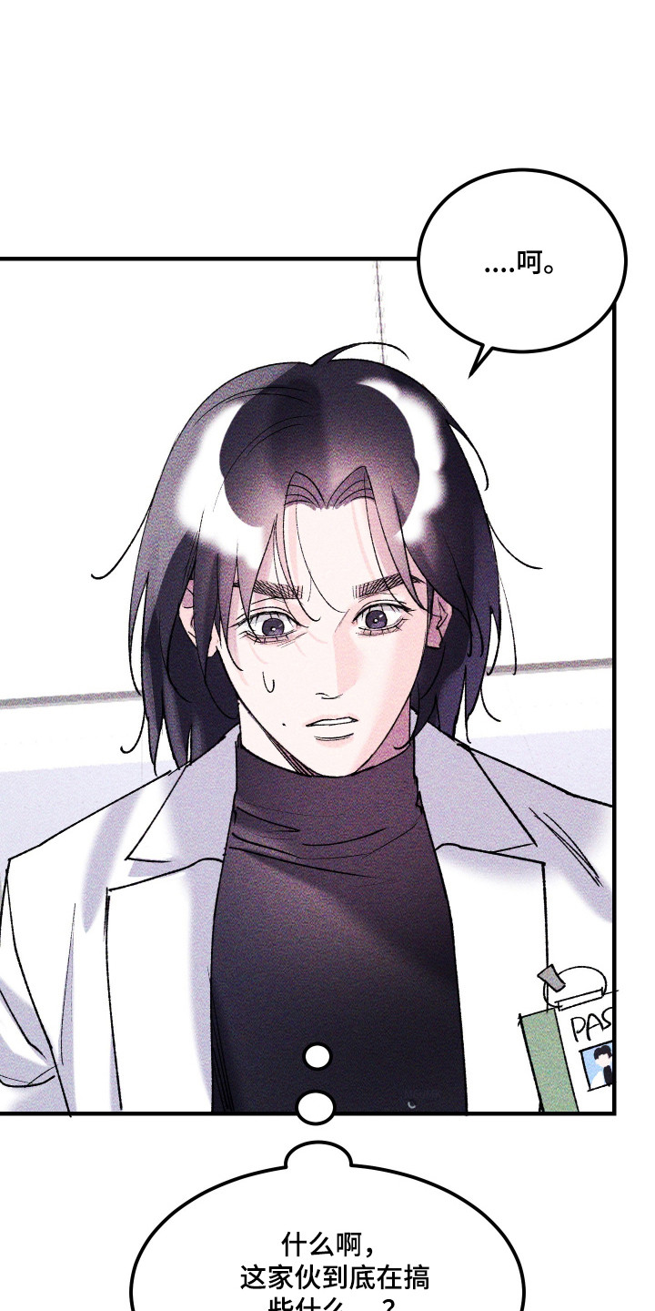 紫罗兰协议漫画,第38章：重返地面3图