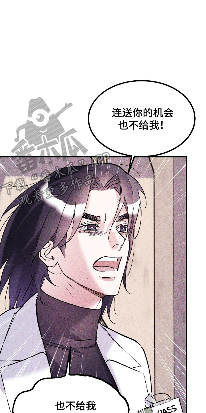 紫罗兰zf2漫画,第40章：三角关系（第一季完结）1图