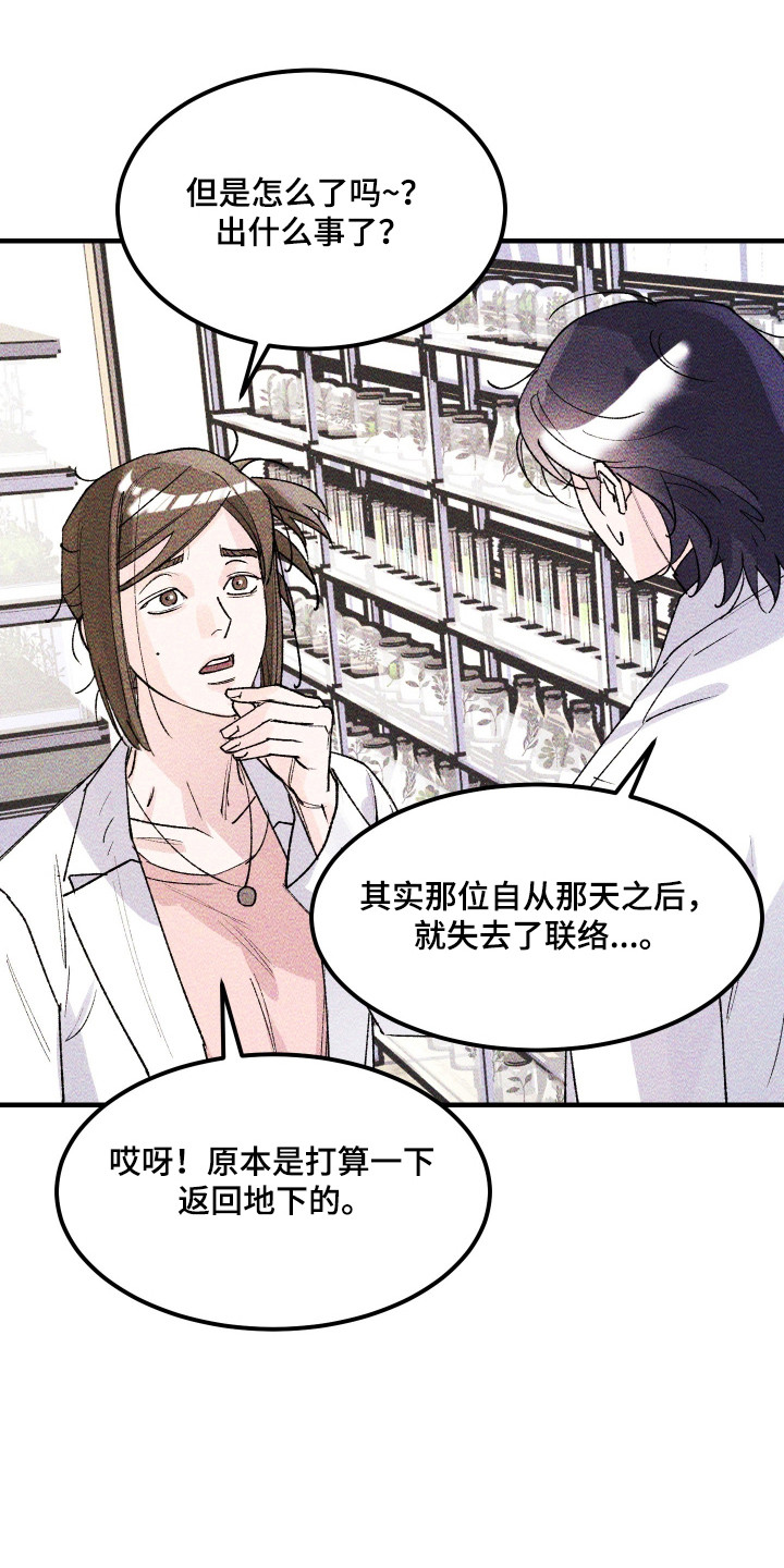 紫罗兰协议漫画,第38章：重返地面5图