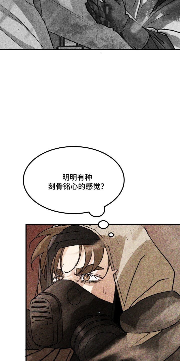 紫罗兰协议漫画,第37章：没有反应5图