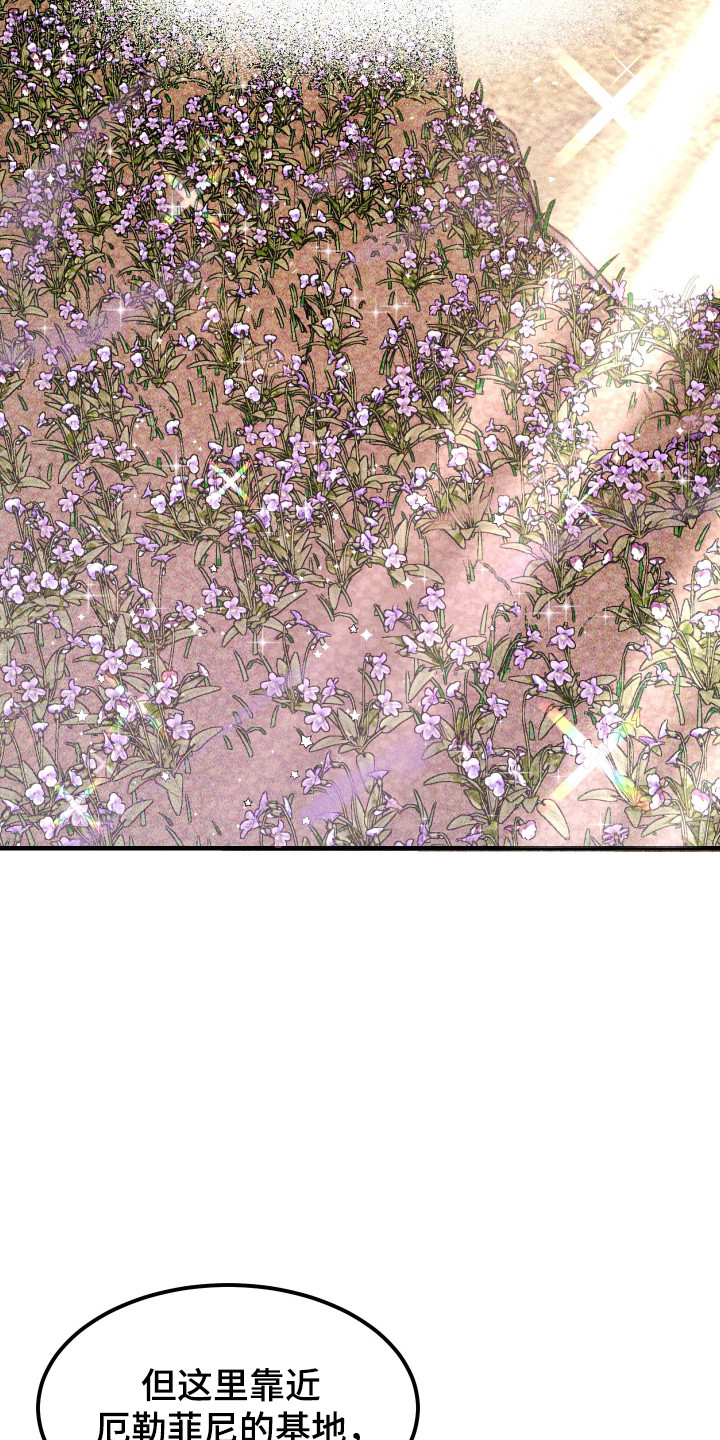 紫罗兰花的寓意和象征漫画,第39章：真是万幸1图
