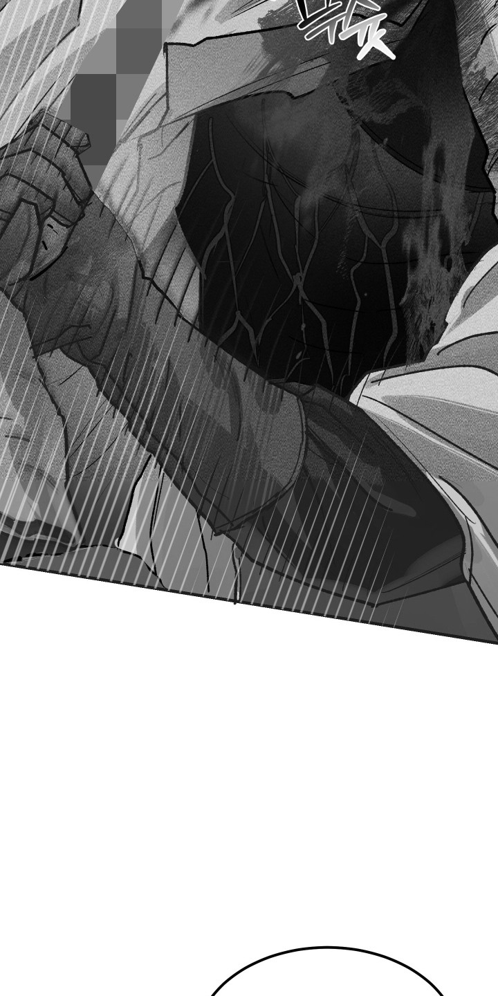 紫罗兰协议漫画,第37章：没有反应5图